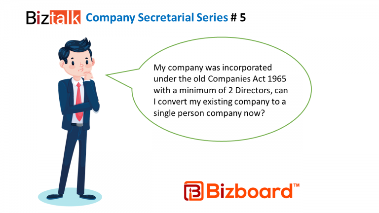 single person company malaysia